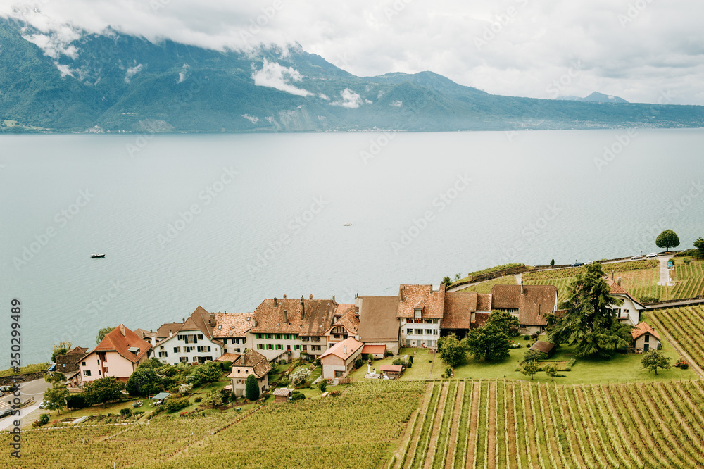 Vineyard terraces at Lake Geneva in spring, Lavaux, Vaud, Switzerland