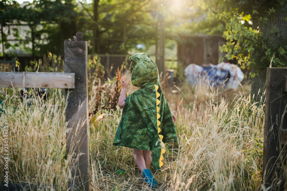 Young boy wearing a dinosaur costume