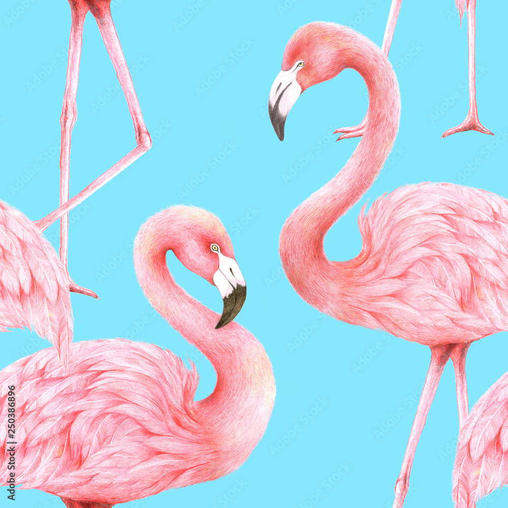 flamingos seemless pattern wallpaper,illustration,drawing hand and painted by color pencils 