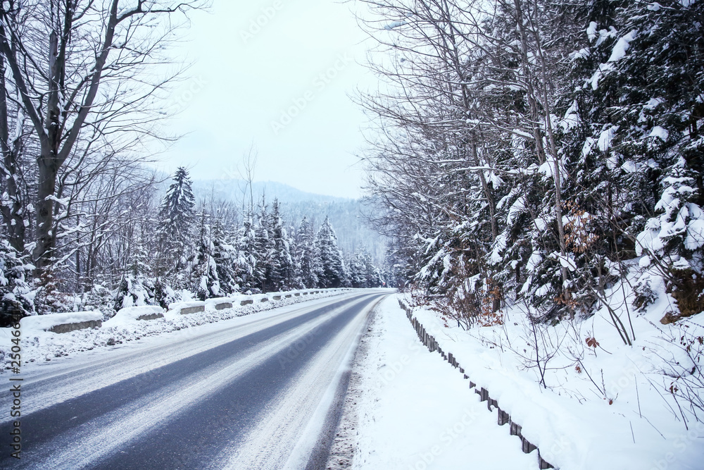 雪域避暑山庄的汽车路