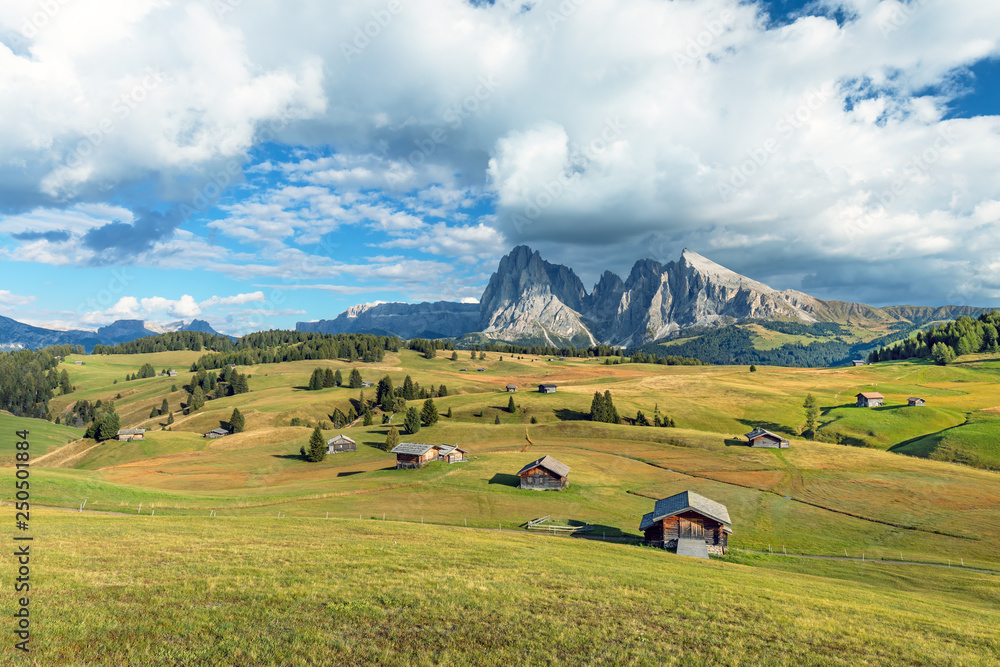 Alpe di Siusi-Seiser Alm与Sassolungo-Langkofel山群在日落时的背景。Flowe