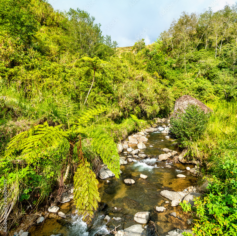 Banaue Rice Terraces河-菲律宾吕宋岛