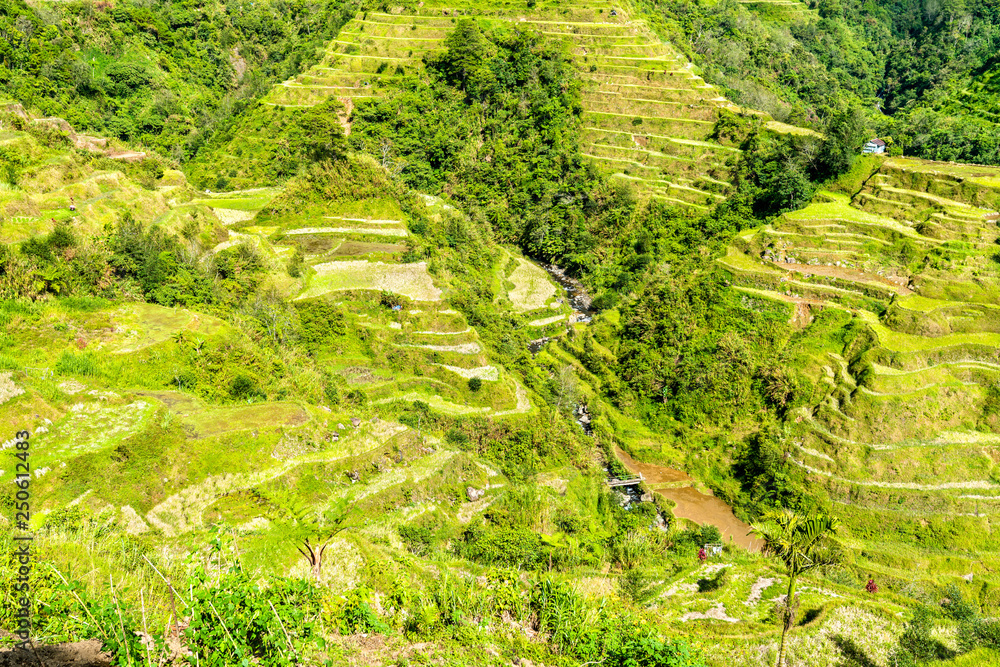 Banaue Rice Terraces - northern Luzon, UNESCO world heritage in Philippines.