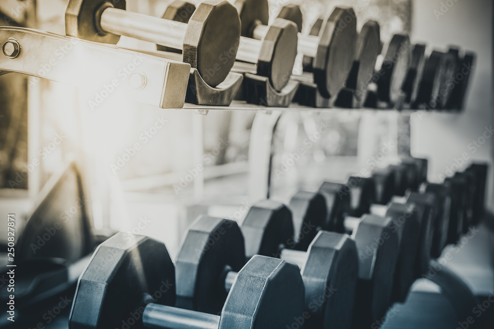 Dumbbells on rack in fitness center.