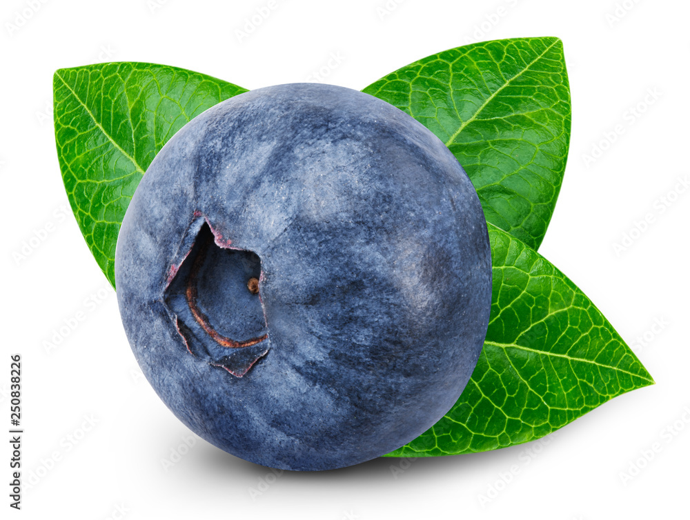 Blueberry isolated Clipping Path