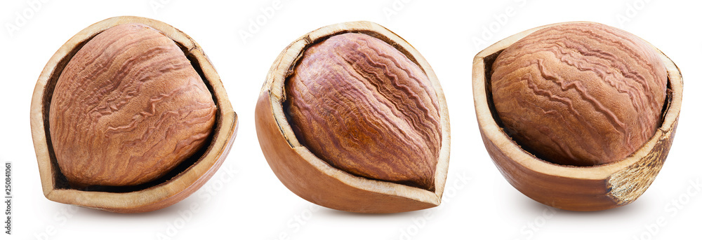 Hazelnut isolated Clipping Path