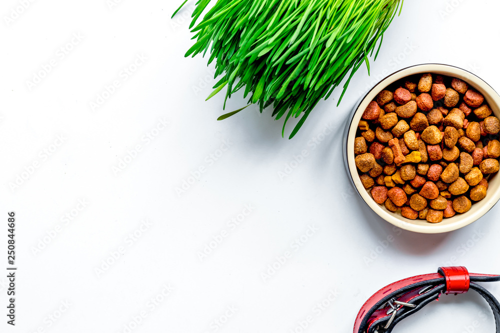 dry dog food in bowl on white background top view