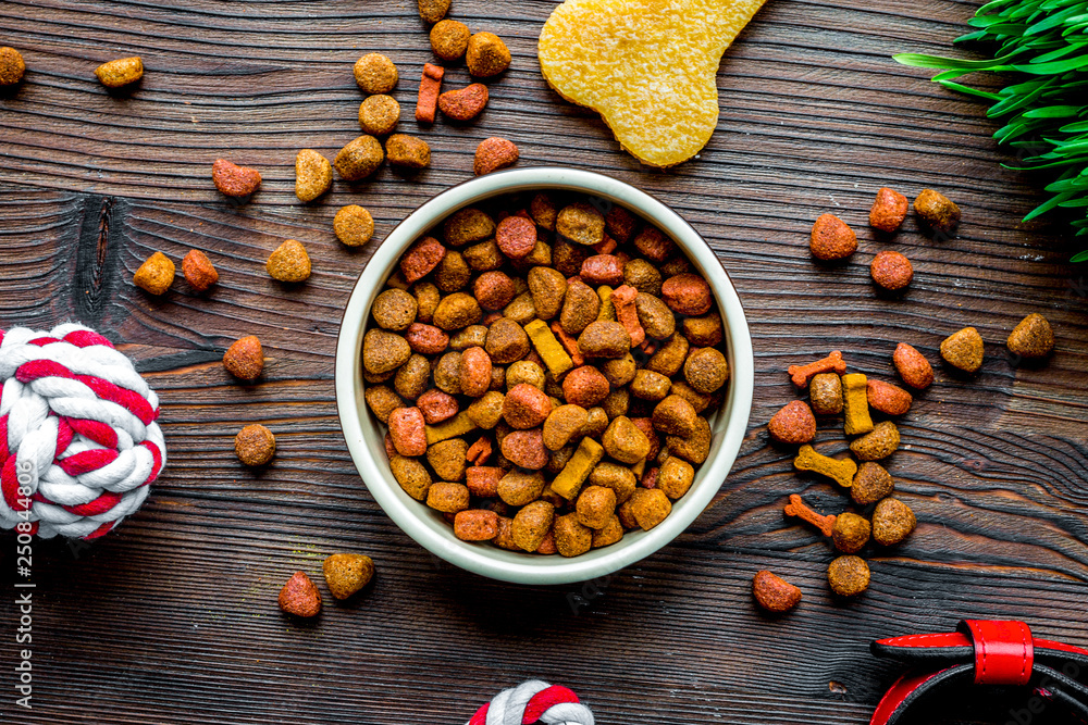 dry dog food in bowl on wooden background top view