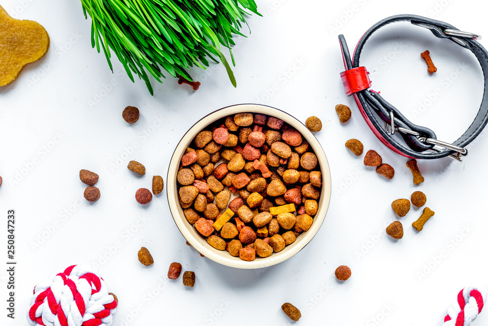 dry dog food in bowl on white background top view