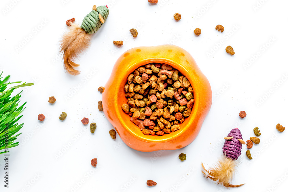 dry cat food in bowl on white background top view