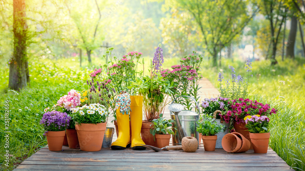 Gardening tools and flowers in the garden