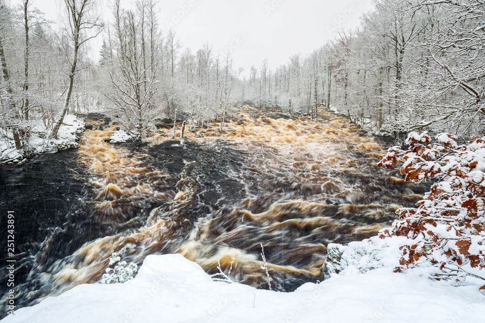 Wild Morrum river in snowy winter, Sweden