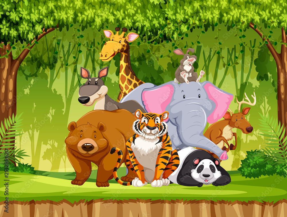 Set of wildlife animals