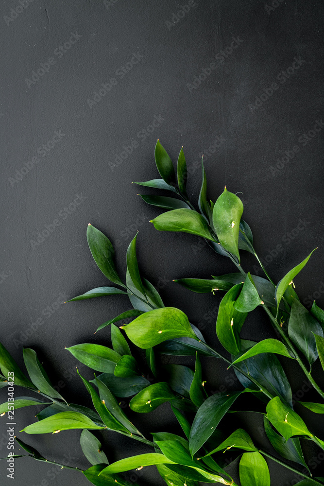 Spring branches with small green leaves on black background top view copy space