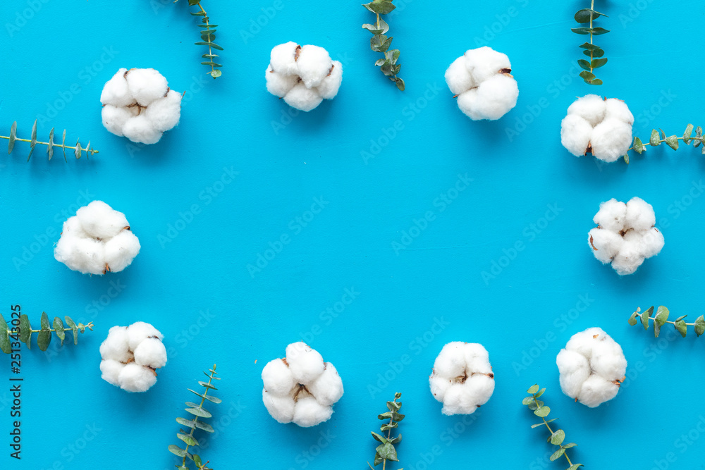 Flowers frame on blue desk with eucalyptus branches and cotton. Flat lay, top view, copy space - blo