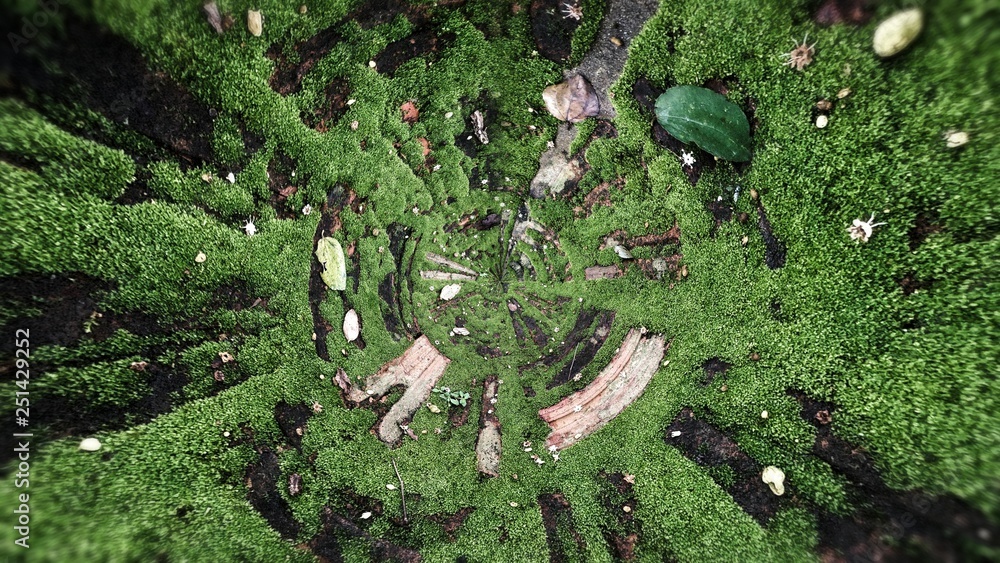 青苔老砖纹理