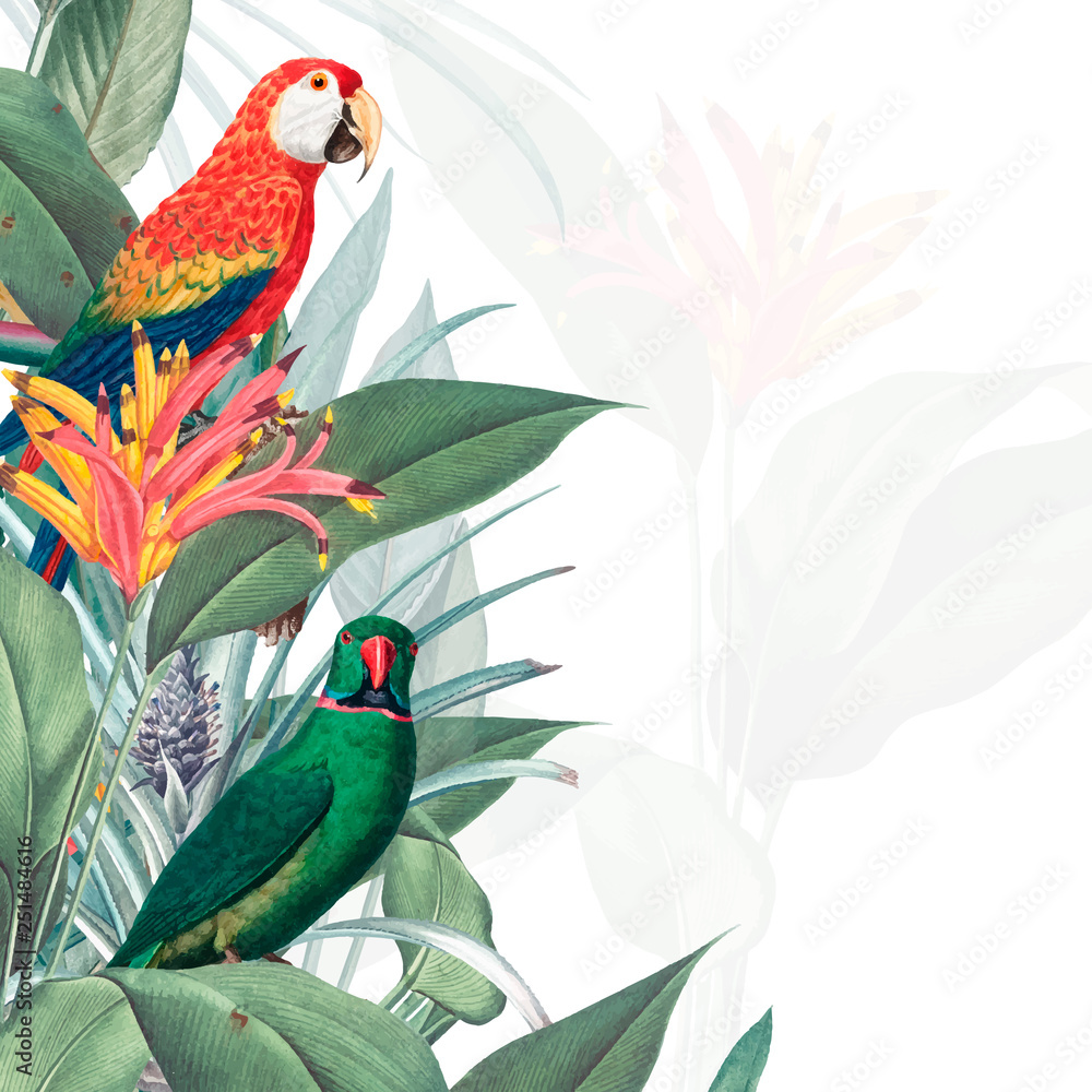 Macaw tropical mockup illustration