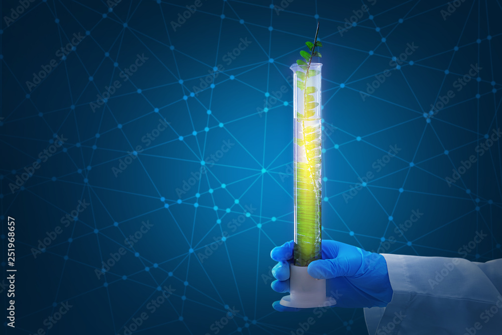 Scientist holding test tube with plant on color background