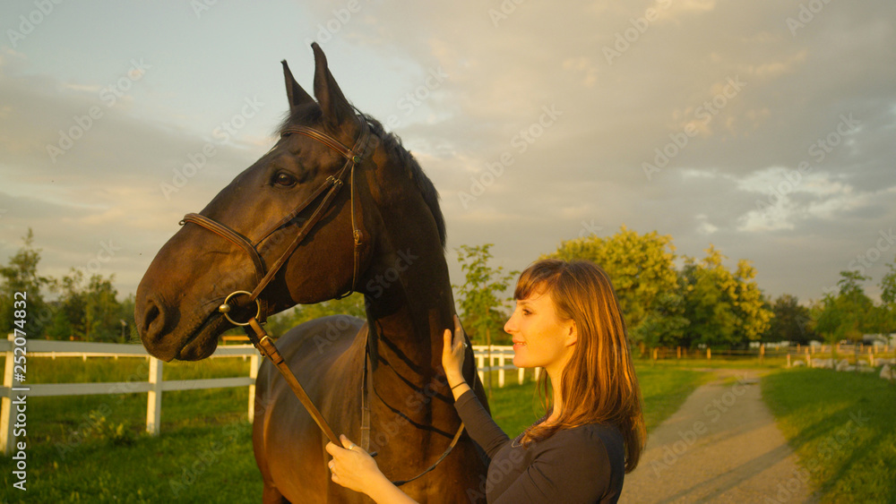 CLOSE UP: Happy woman and her stallion look into the distance on a sunny day.