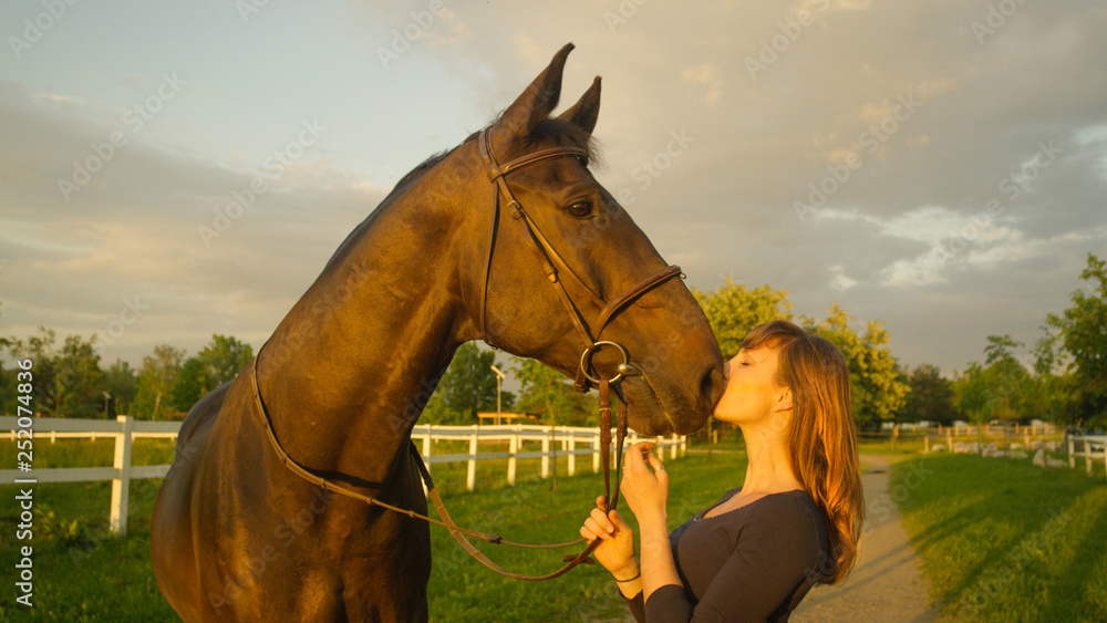 CLOSE UP: Carefree young woman kisses her beautiful stallion on the muzzle.