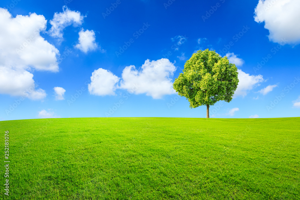 Green tree and grass field with white clouds