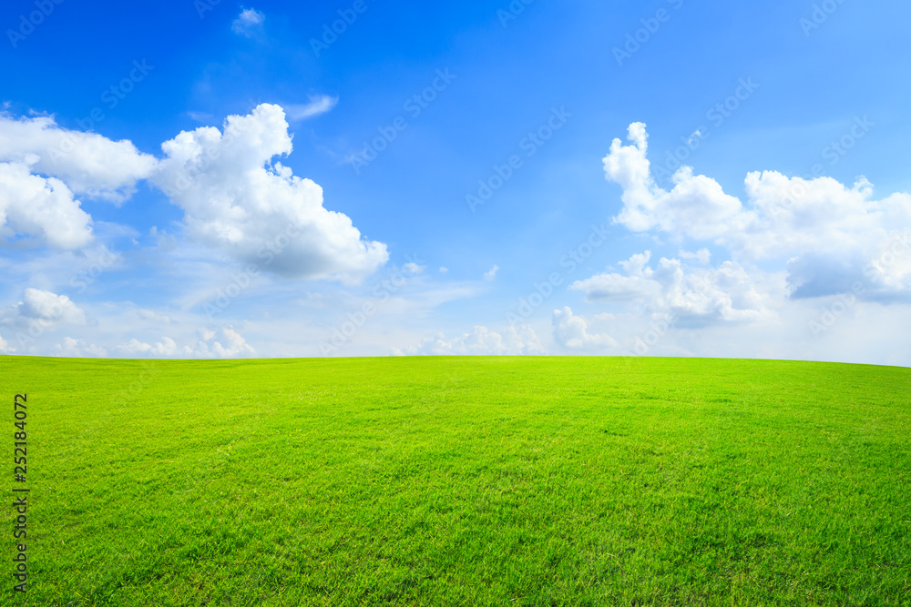 Green grass and blue sky with white clouds