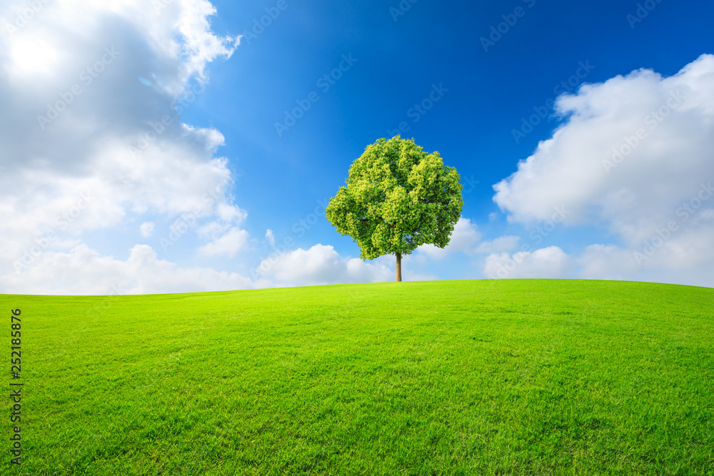 Green tree and grass field with white clouds