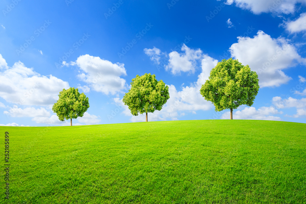 Green tree and grass field with white clouds