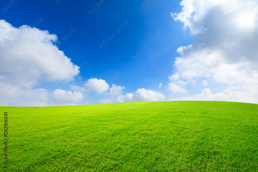 Green grass and blue sky with white clouds