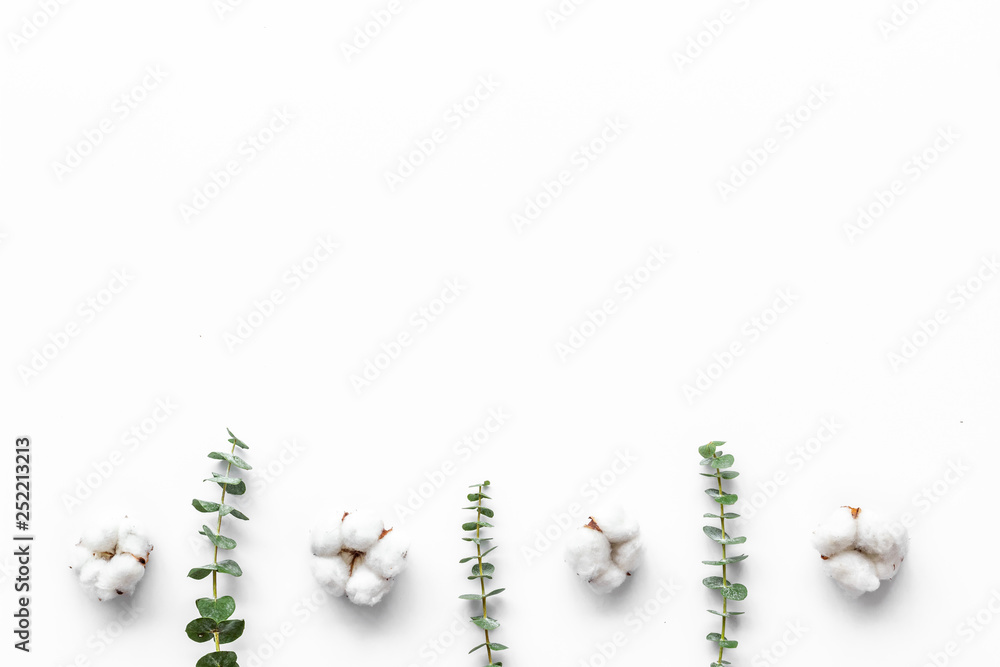 Flowers border with green eucalyptus branches and dry cotton on white background top view copy space