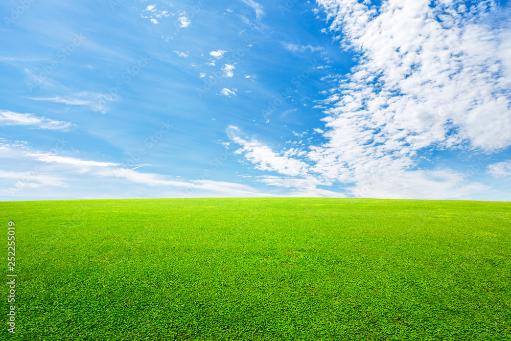 Green grass and blue sky with white clouds