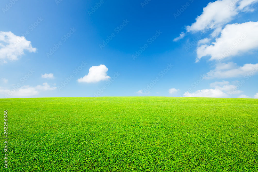 Green grass and blue sky with white clouds