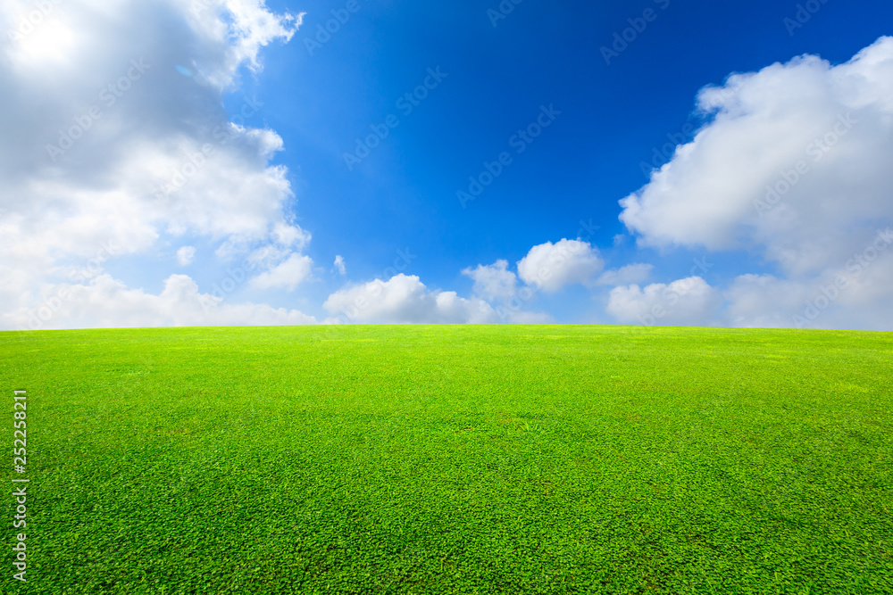 Green grass and blue sky with white clouds