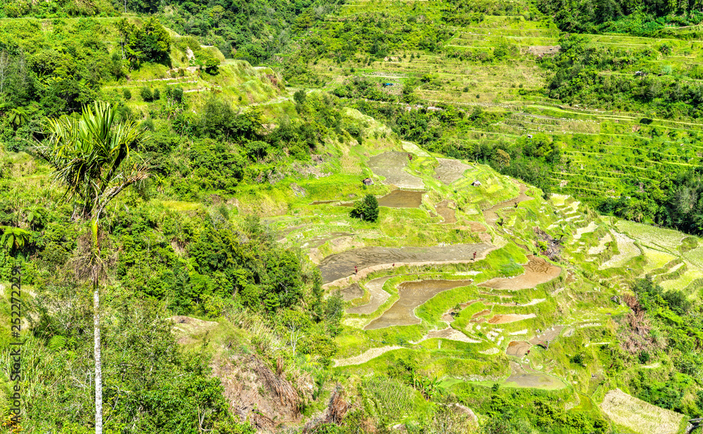 Banaue Rice Terraces-吕宋北部，联合国教科文组织菲律宾世界遗产。