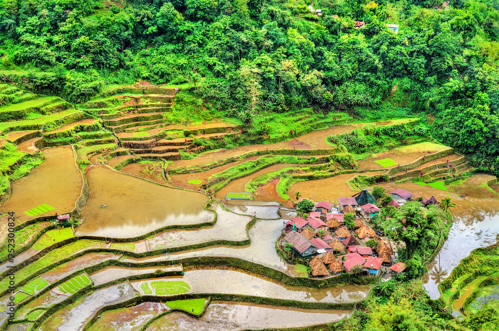 Bangaan Rice Terraces - Luzon, Philippines