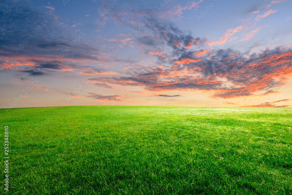 Green grass and beautiful sky at sunset