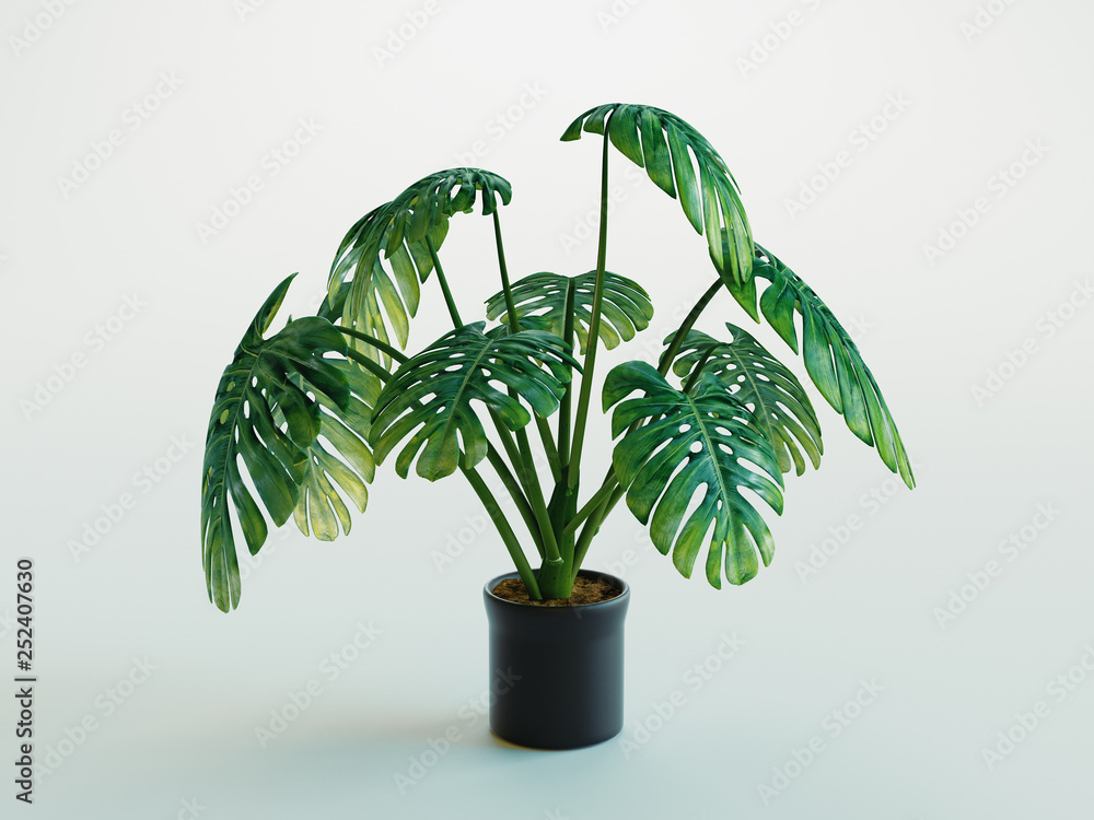 Plant isolated on white background, 3d rendering