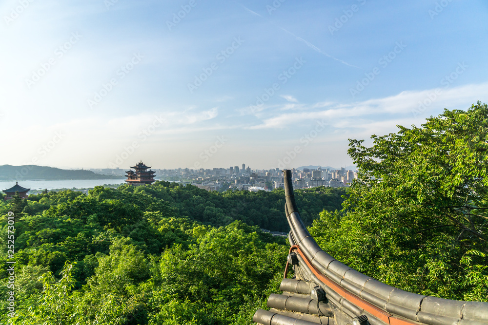 有山有树的山地景观