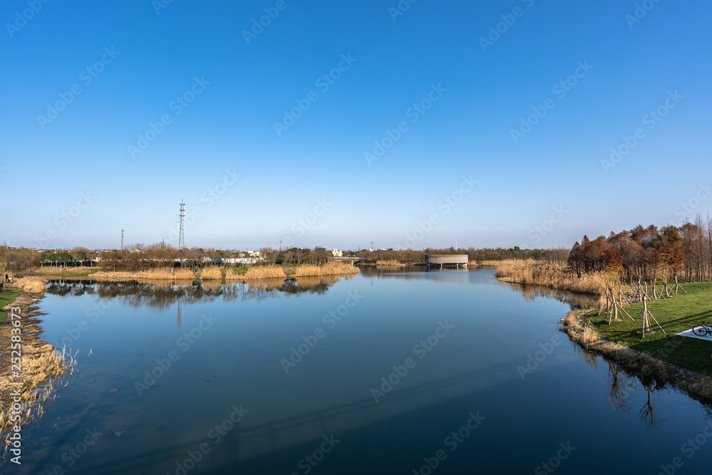 河流和桥梁景观