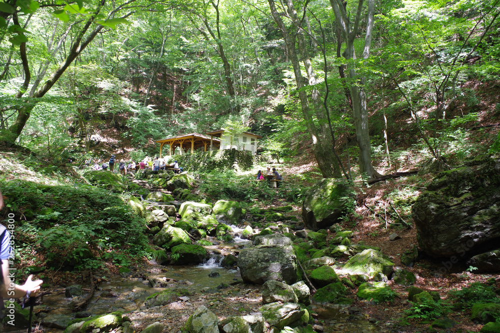 山の風景