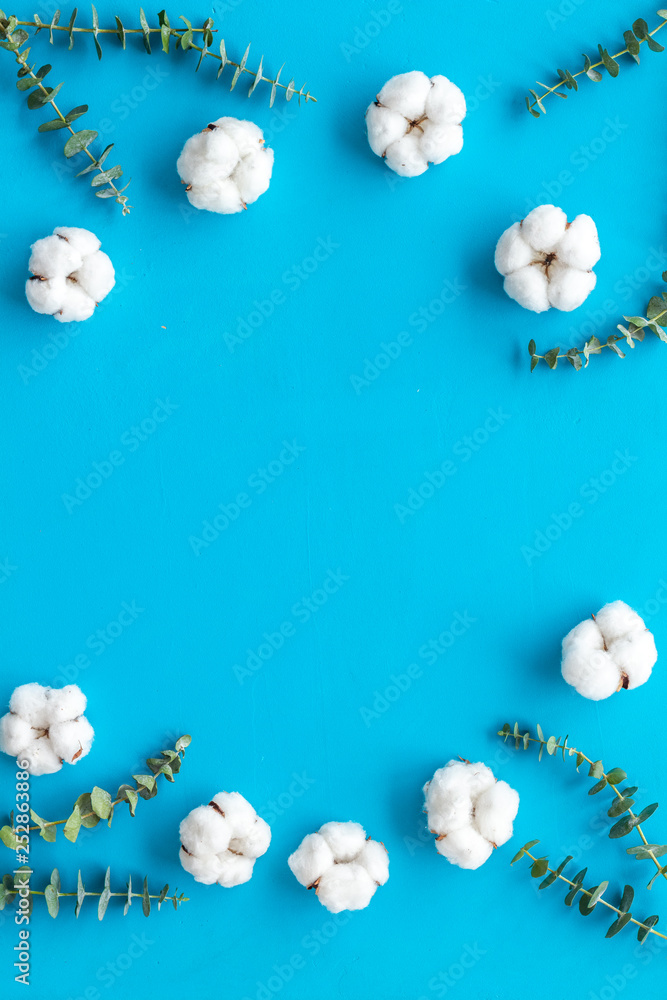 Flowers frame with fresh eucalyptus branches and cotton on blue background top view copy space