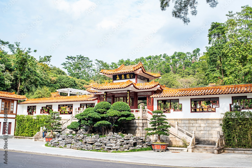 深圳仙湖植物园盆景园古建筑庭院