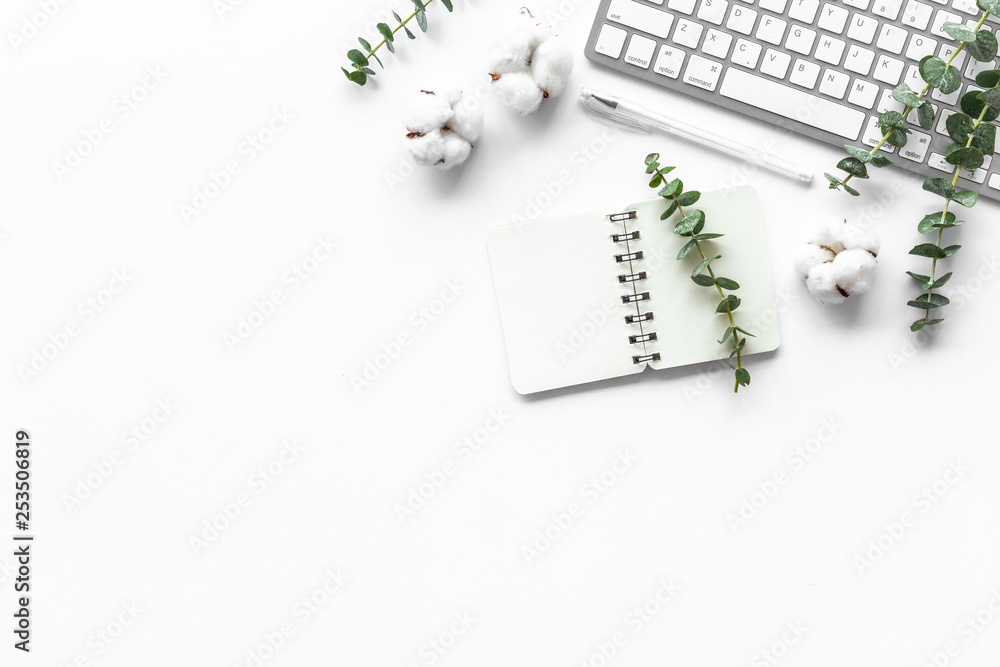 Laptop, cotton branch on white table flat lay copy space. Minimal freelancer desk workspace. Blog mo