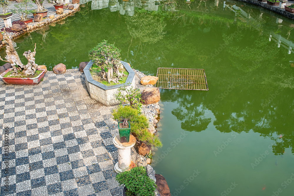 深圳仙湖植物园盆景园鲤鱼池