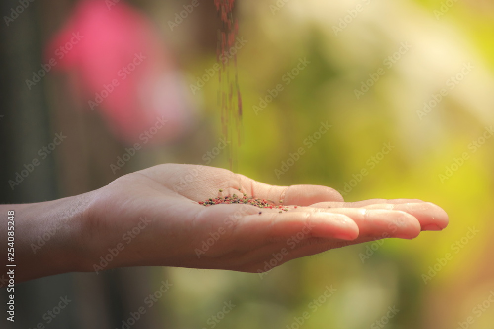 The image of a hand on natural background blur.