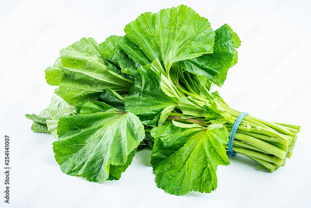 A handful of fresh green winter leeks on a white background