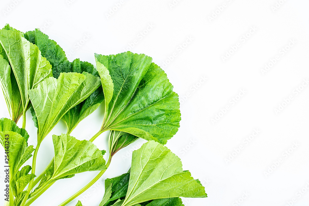 Fresh green winter leeks on white background