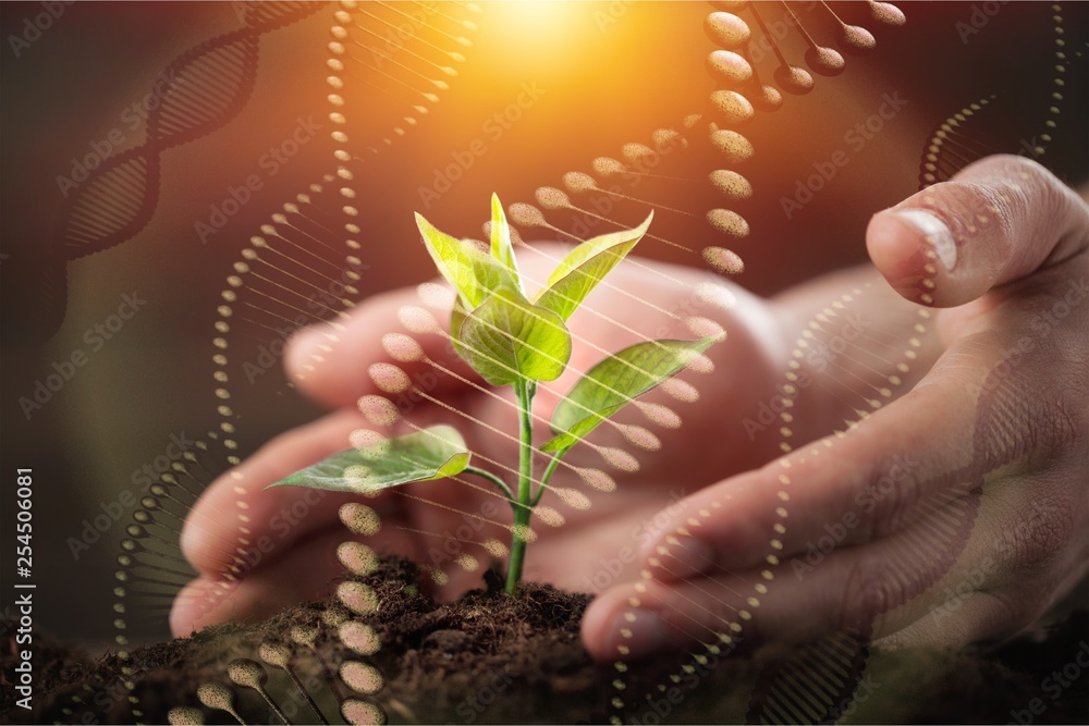 Green Growing Plant and Human Hands