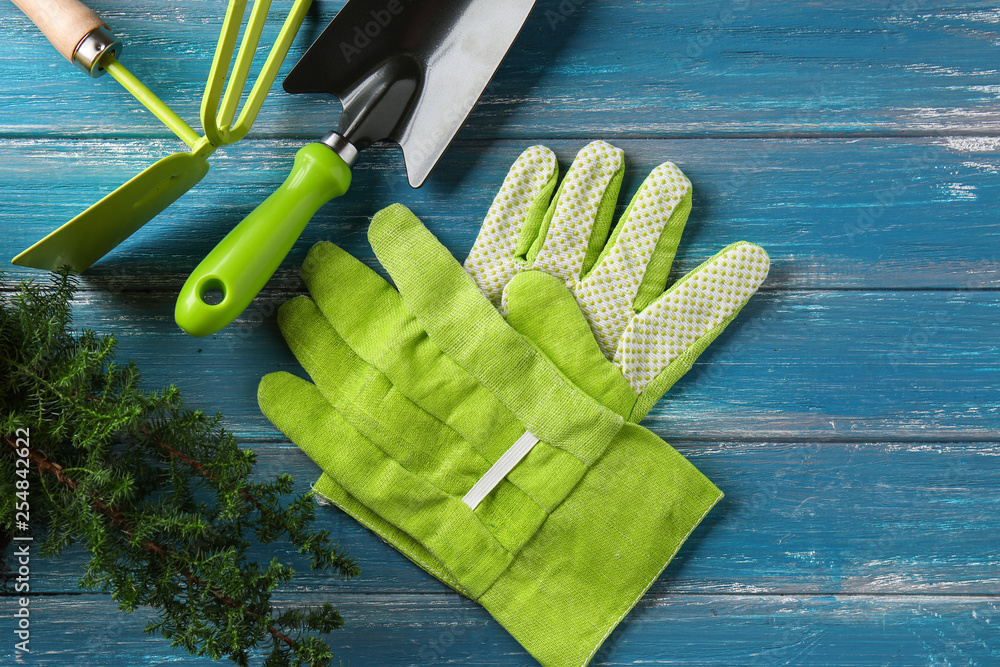 Composition with gardening tools and plant on wooden background