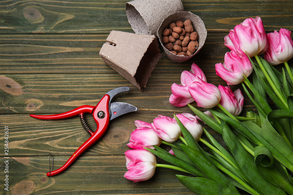 Composition with pruner, pots for gardening and flowers on wooden background